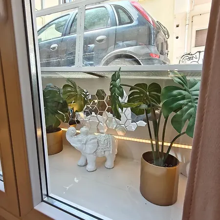 Apartment Lindy S